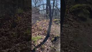Muldental hiking trail below Manhattan/East on April 11, 2026