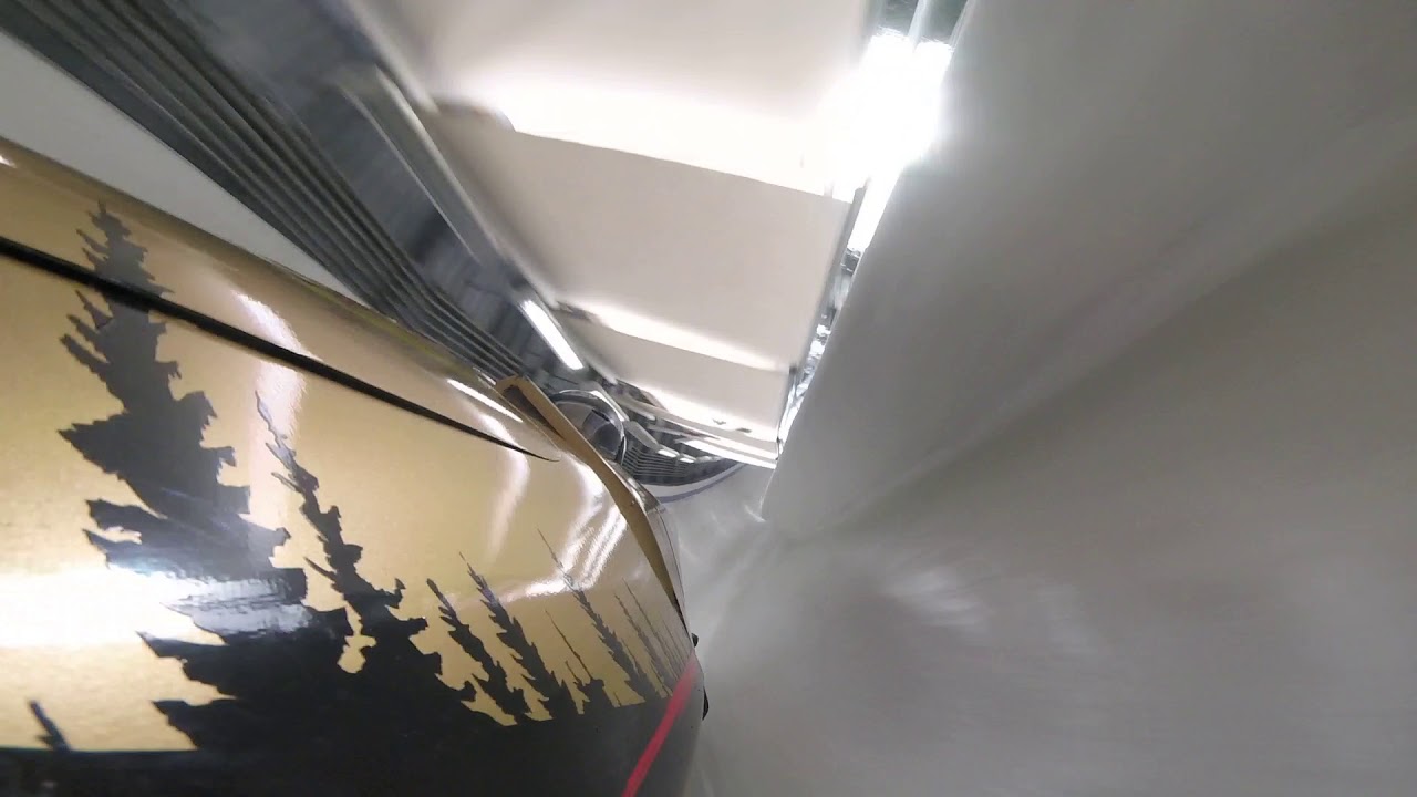 Whistler POV (Reverse View)