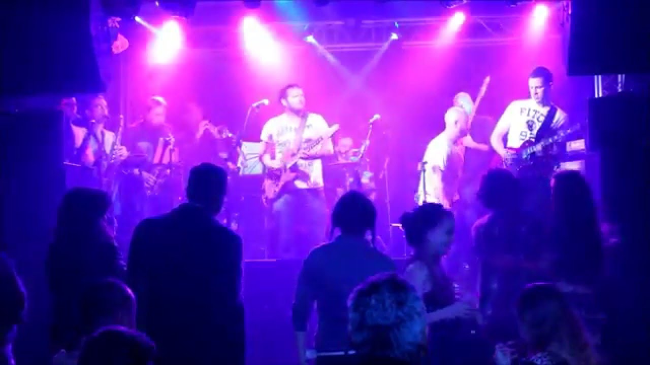 Feast of Folk 11 The Shadow Cats, Above The Rest YouTube