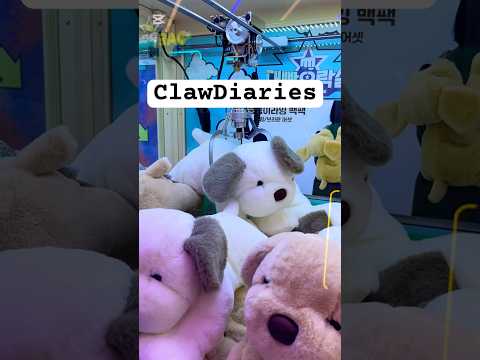 ClawDiaries EP13 #clawmachine #korea #lifeinkorea