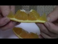 こりゃ　うまい！　おいしい柑橘系　愛媛県産　清美タンゴール