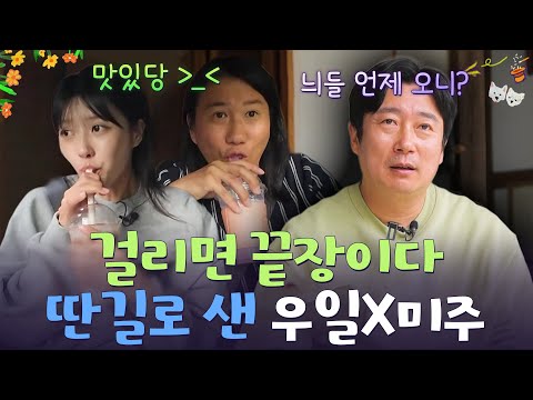 생일파티 준비하다가 딴 길로 샌 우일 X <strong>미주</strong>🤭 [웰컴 투 수근스쿨] | KBS 260716 방송