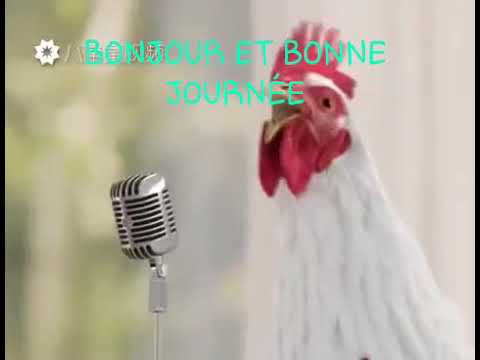 ديوجه الصوت اديوجه