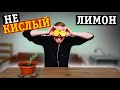 Попробовал ЛИМОН! Реакция на ЛИМОН! Приколы про ЛИМОН!