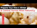 Beekeeping For Beginners - Prepare Your Hive For Winter & Control Varroa Mites Naturally (Part 1)