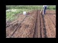 Увеличение плодородия почвы с минимальными материальными затратами на грядках по Миттлайдеру