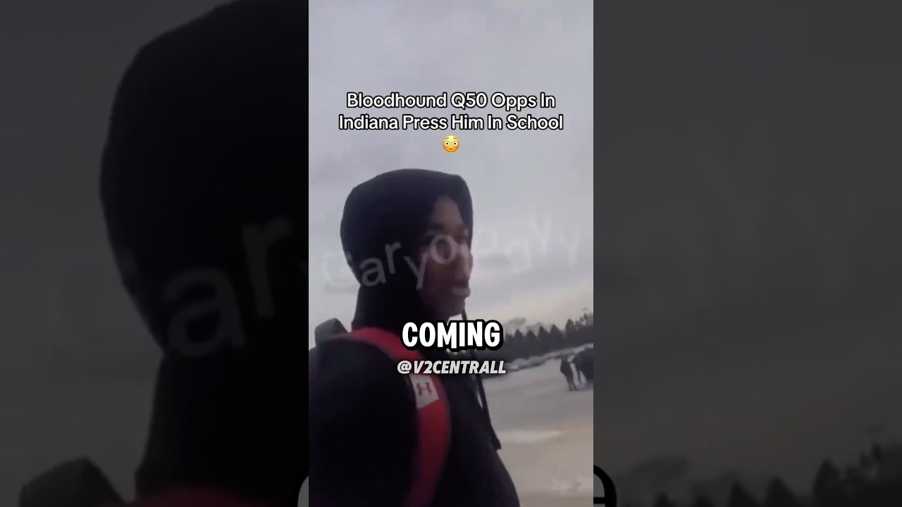 Bloodhound Q50 получает нагоняй от противников😳 