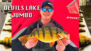 Devils Lake Jumbo Perch, Ice Fishing 2025