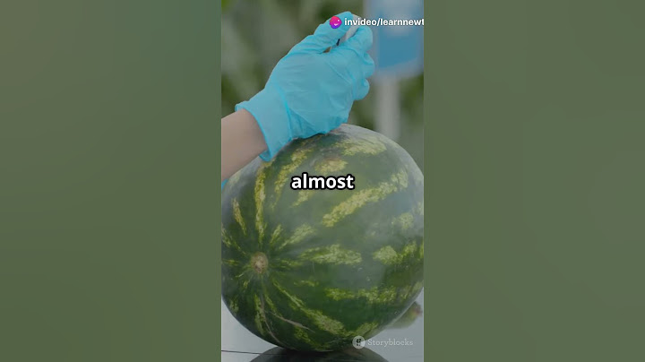 Can You Guess The Fake Watermelon?  🍉  Game