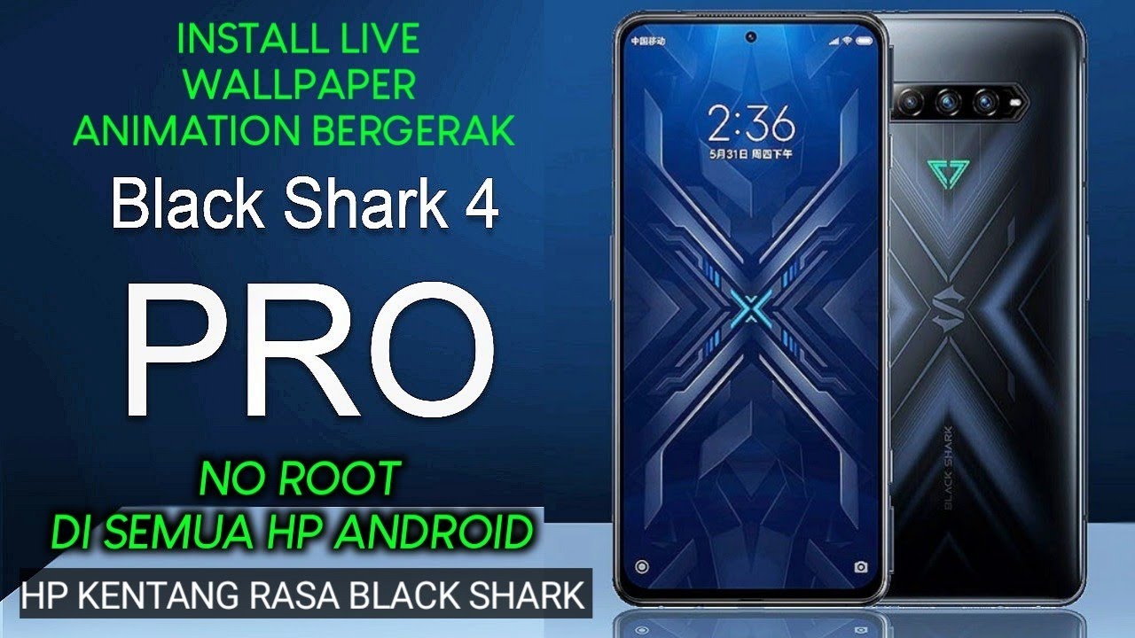 91+ Wallpaper Bergerak Black Shark Picture My