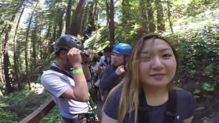 ZIP-LINING | SANTA CRUZ CA