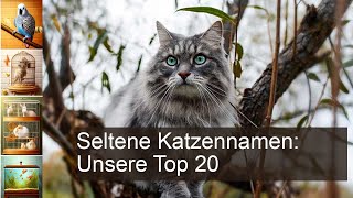Seltene Katzennamen: 20 Namen für Katze und Kater