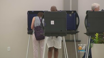 Steady Stream Of Broward Voters On Election Day