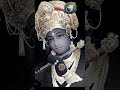 Jai shree krishna