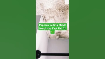Popcorn Ceiling Mold? 🧼✨ Safe & Easy Cleaning Hack!
