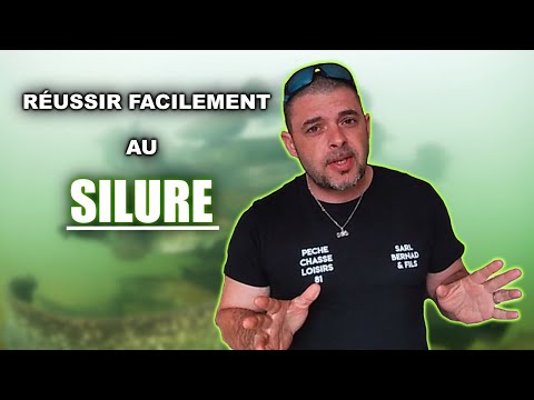 Vidéo: Conseils pour la pêche du silure dans les lacs