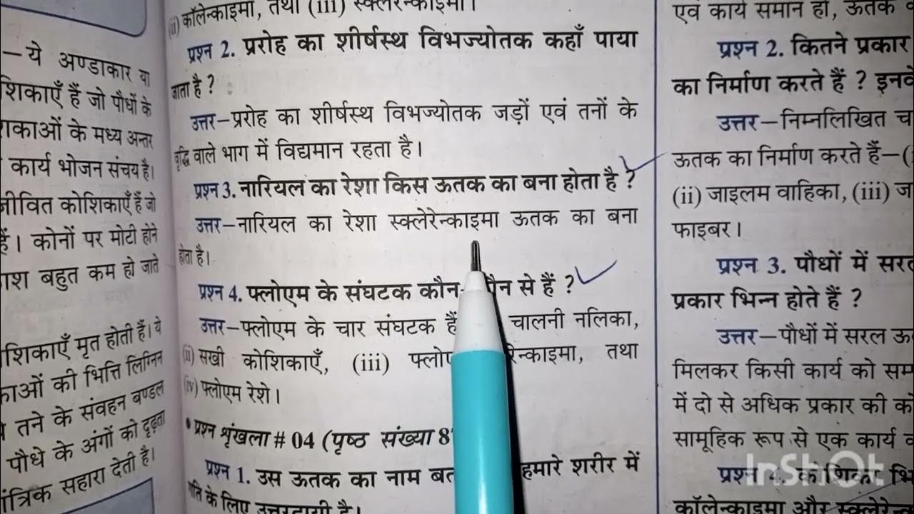 नारियल का रेशा किस ऊतक का बना होता है , nariyal ka resha kis utak ka