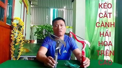 BỘ ĐẦU KÉO CẮT TỈA CÀNH CÂY HÁI HOA QUẢ TRÊN CAO THUẬN TIỆN CHO MỌI GIA ĐÌNH 
