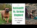 German Shepherd vs Bullmastiff: Which is the best guard dog?