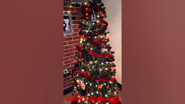 Merry Christmas!!