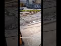 Waste rebar strainghtening machine for steel bar recycling #rebar #straightening #straightener