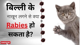 बिल्ली के नाखून लगने से क्या rabies हो सकता है ? Cat nail scratch & rabies #nails #scratch #cat