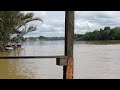 Keberanian Anak sarawak berenang di tengah sungai banyak buaya