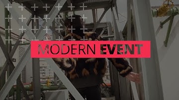 Modern Opener After Effects Templates