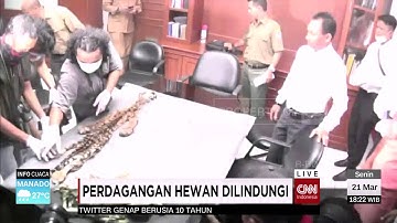 Perdagangan Hewan Dilindungi