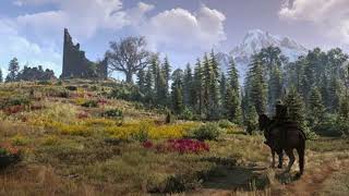 The Witcher 3: One hour of Emotional and Relaxing Music