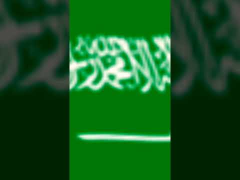 جميع البلاد