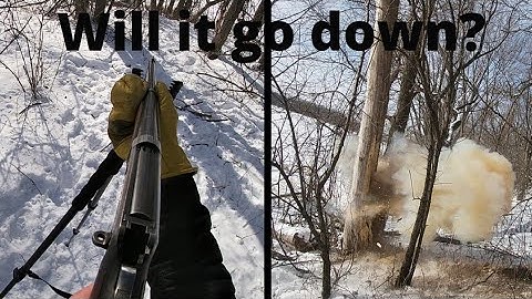Tree vs Tannerite! Multiple Explosions!