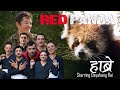 Red panda starring dayahang rai  red panda network psa