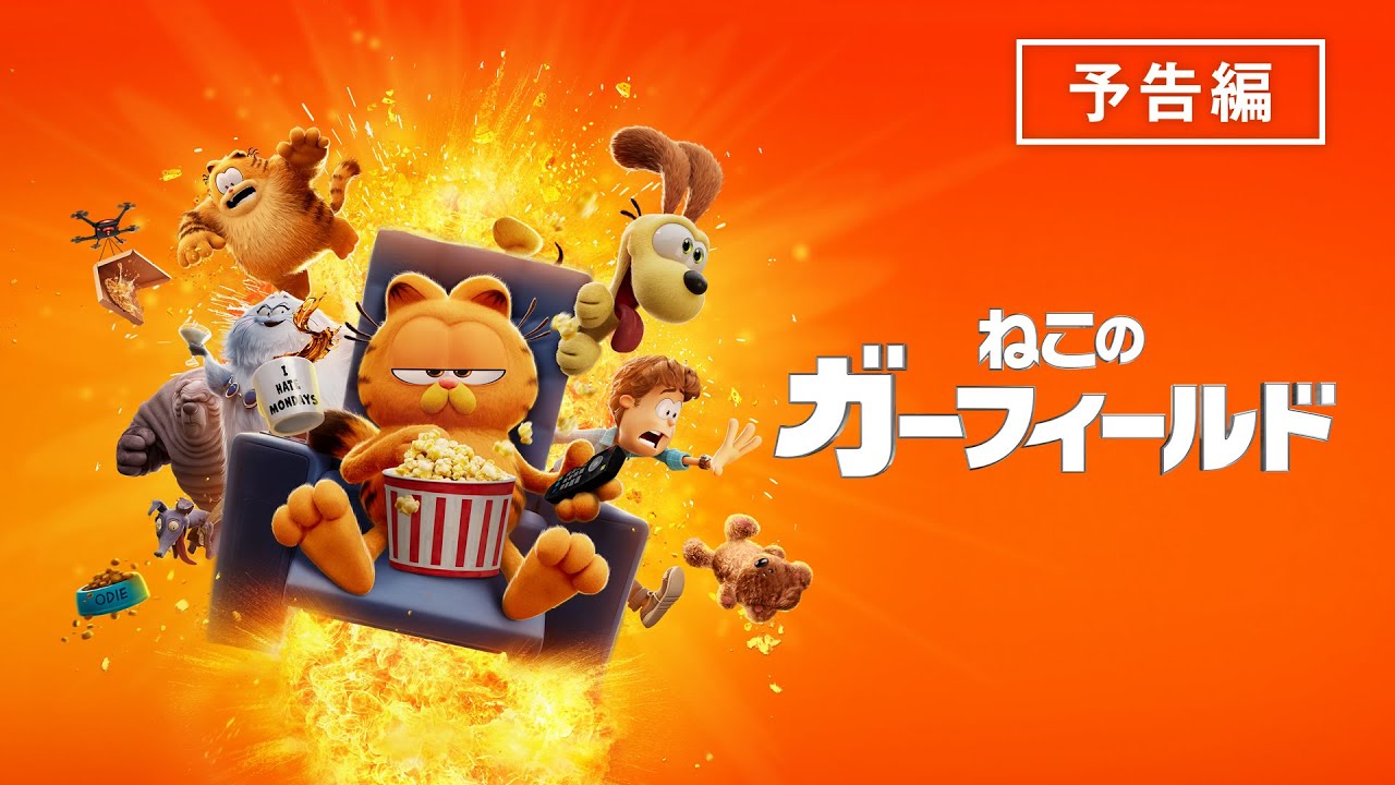ねこのガーフィールドのパラダイスは最高！ Garfield VHS ビデオテープ 