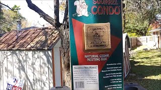 Chuckanut Squirrel Condo House Home Nesting Box review by Kurt Thompson (purchase on amazon)