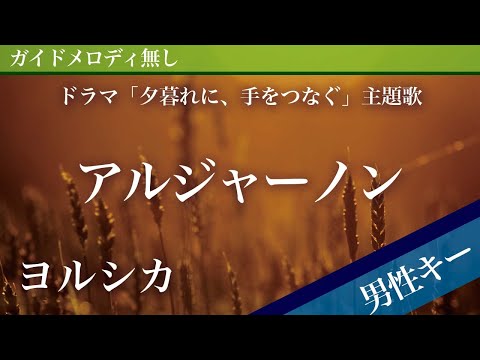 【男性キー(-4)ピアノ伴奏】アルジャーノン / ヨルシカ ドラマ「夕暮れに、手をつなぐ」主題歌