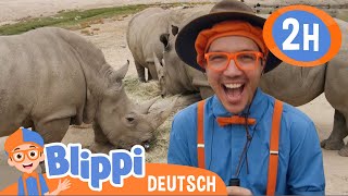 Blippi Deutsch - Blippi im San Diego Zoo | Abenteuer und Videos für Kinder