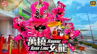 Acrobatic Lion Dance 双狮高桩 by Rawang Xuan Long 万挠玄龙 @ Anggun City Rawang 粉红双狮 开张贺庆 天降财神 鼓乐助庆