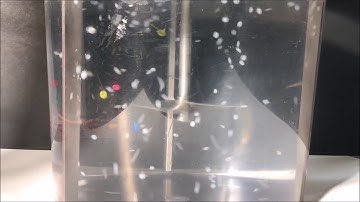 Industrial Mixing Basics - What is Reynolds Number? - Part 2