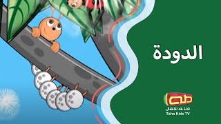 الدودة | أناشيد للأطفال