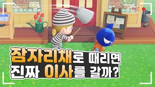 모동숲 주민 이사보내기 대작전, 잠자리채로 두피마사지 그 결과는? - 쏠라TV