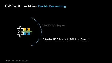 14   SAP Business One 10 0 Platform and Extensibility   Flexible Customizing