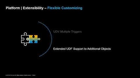 14   SAP Business One 10 0 Platform and Extensibility   Flexible Customizing