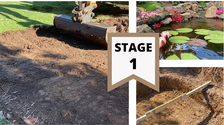 Bulding my dream pond|Stage 1