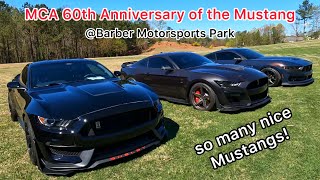I have never seen so many Mustangs!! @Barber Motorsports MCA 60th Anniversary VLOG