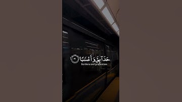 تلاوة هادئة تريح الاعصاب ⁦♥️⁩ 🎧 قران كريم بصوت جميل جدا جدا