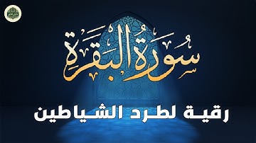 سورة البقرة لطرد الشياطين وابطال السحر🪄وحفظ المنزل🛖| Surah Al Baqarah |عبد الغني حوا