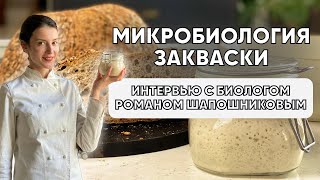 Микробиология закваски. Интервью с биологом Романом Шапошниковым