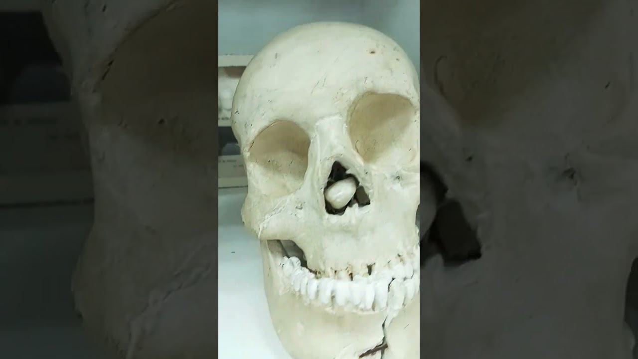 ахаххаахаха