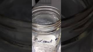Milk Kefir Grains in Coconut Milk, Coconut Water and Soy Milk